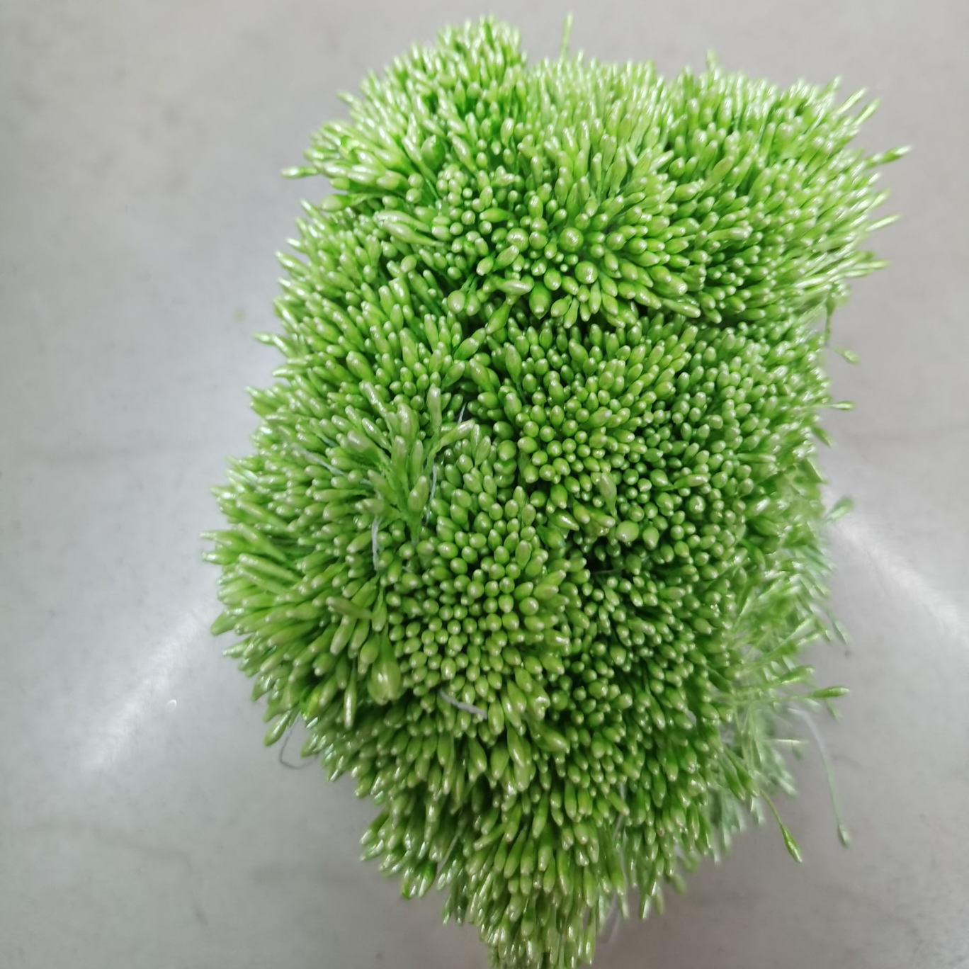 Pearlescent 01 light fruit green flower core gypsum 01