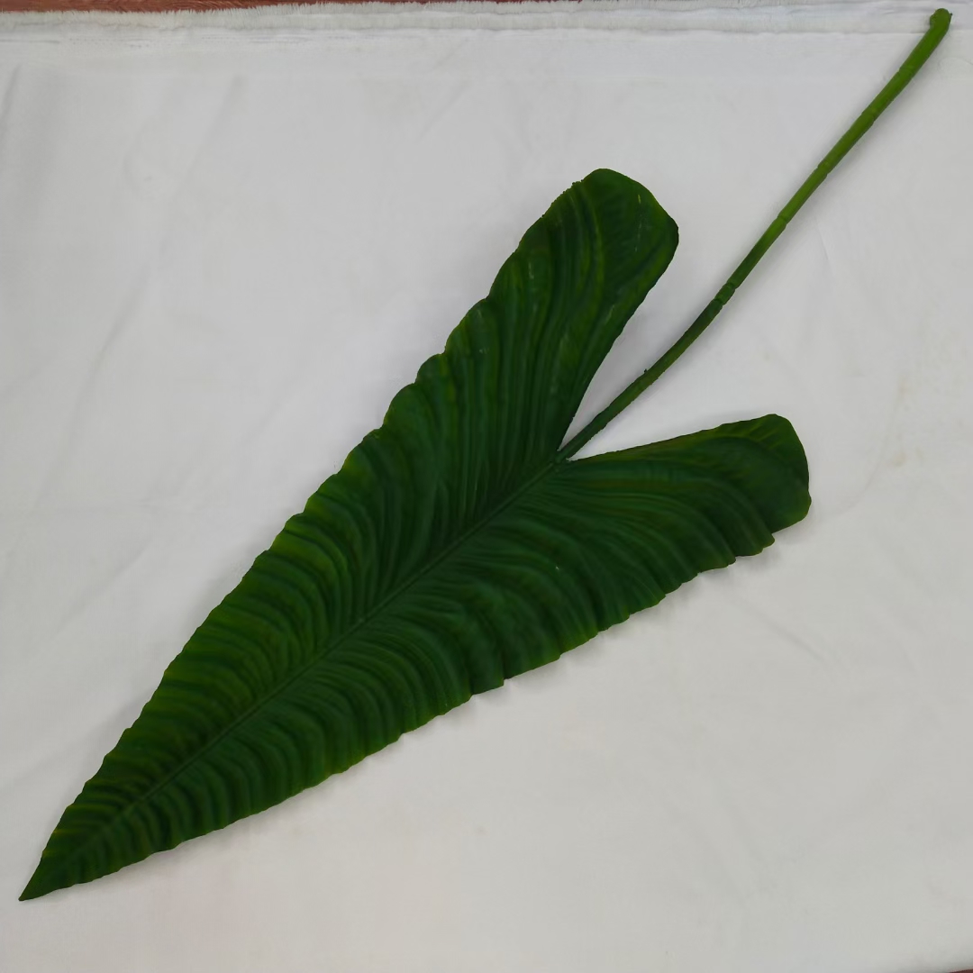 Tropical leaf