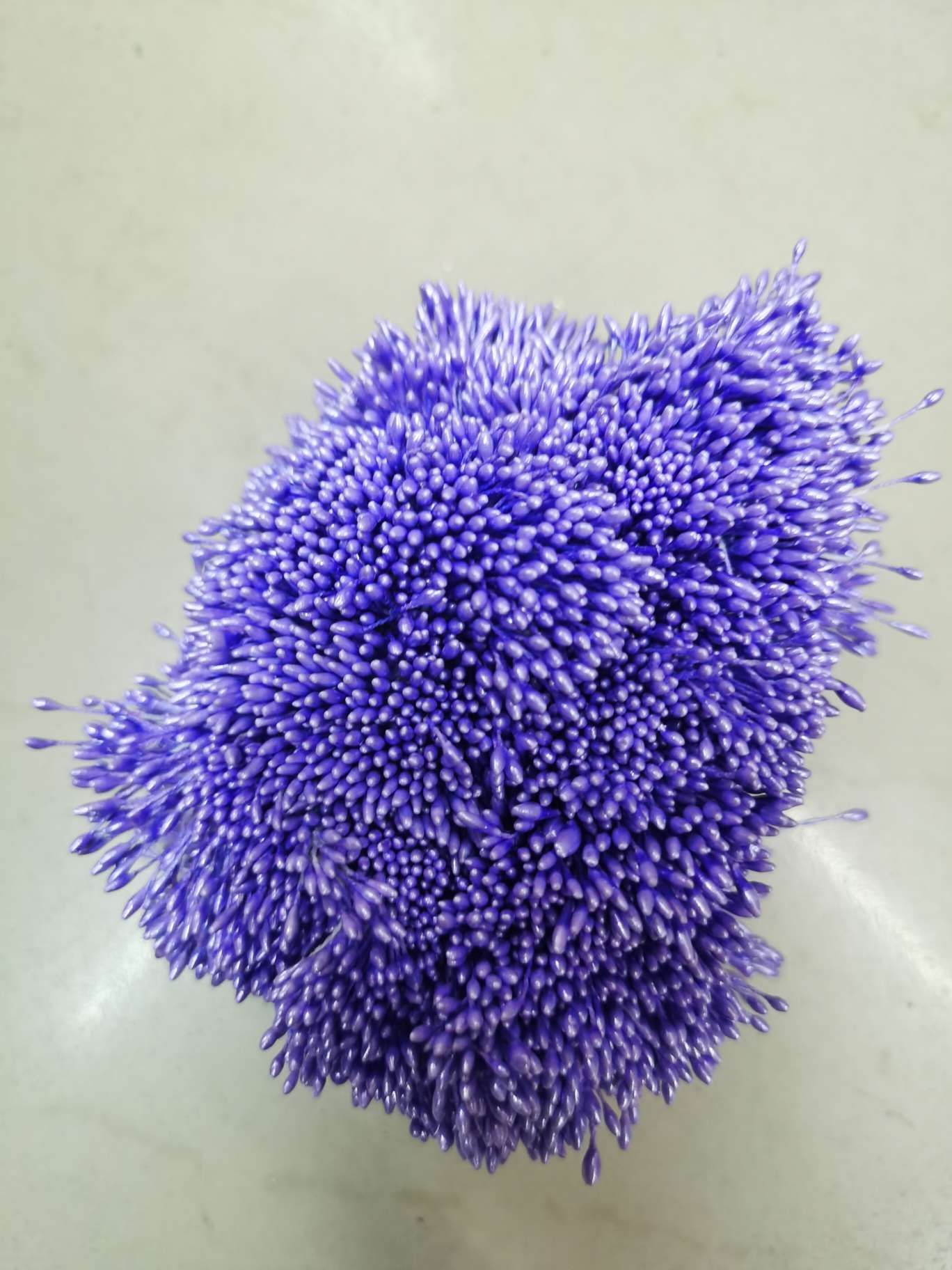 Zhu Guang 01 21 Purple flower core Gypsum 01 pic 2