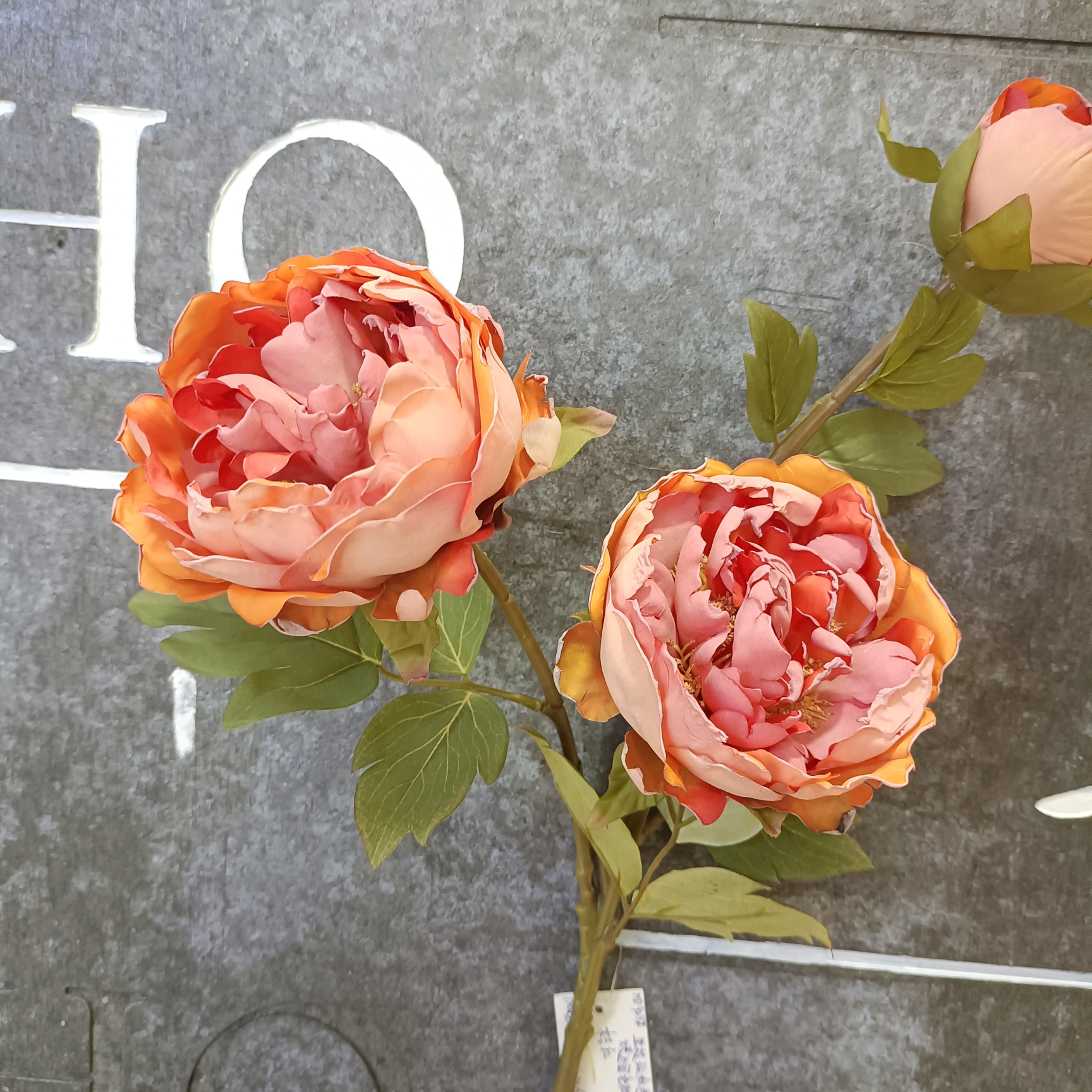 Orange 3 heads roasted border national peony