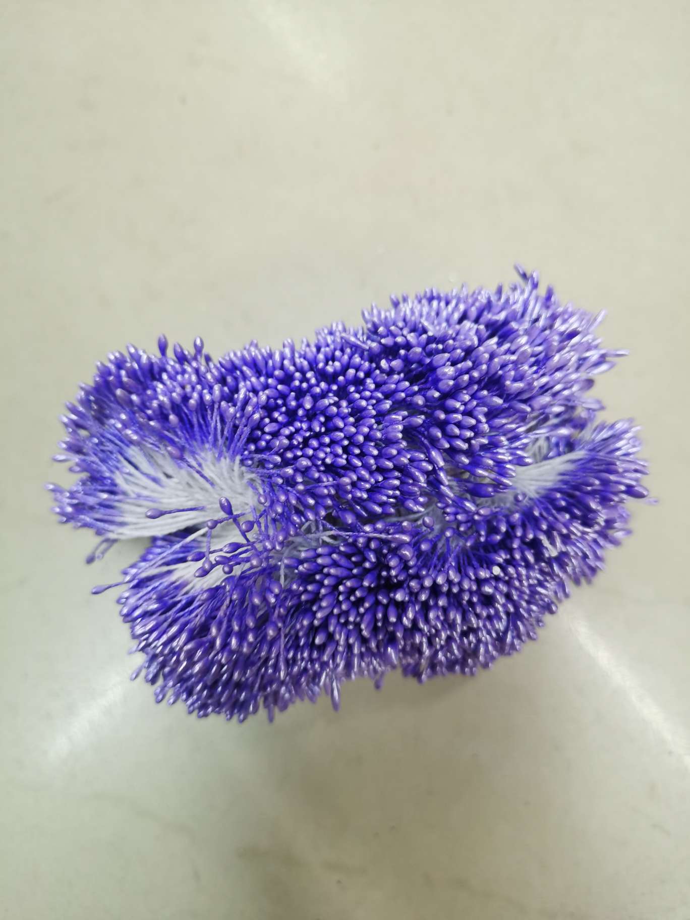 Zhu Guang 01 21 Purple flower core Gypsum 01 pic 1