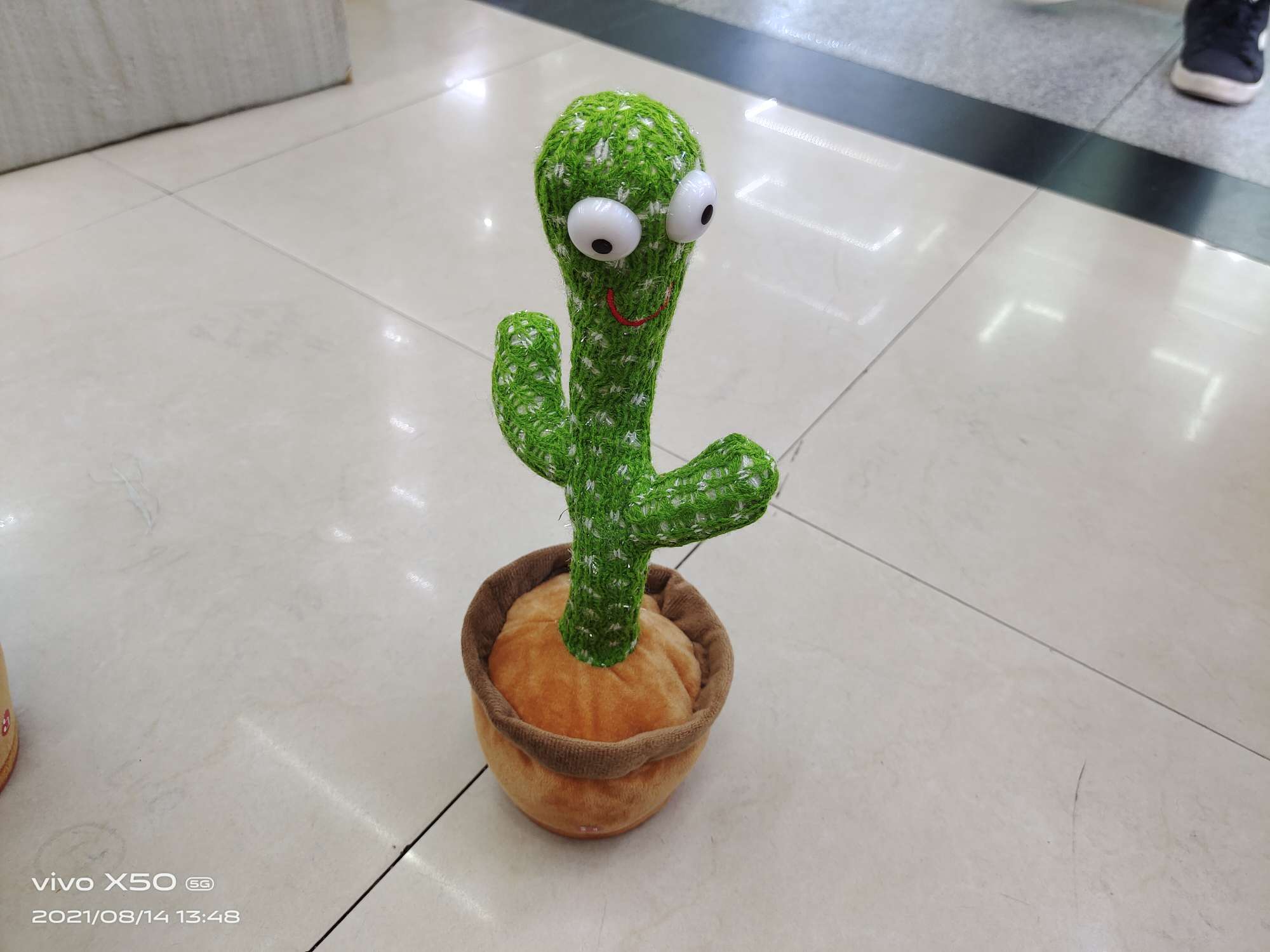 Cactus Electric Pot Can Record Prank Toys Application Scenario