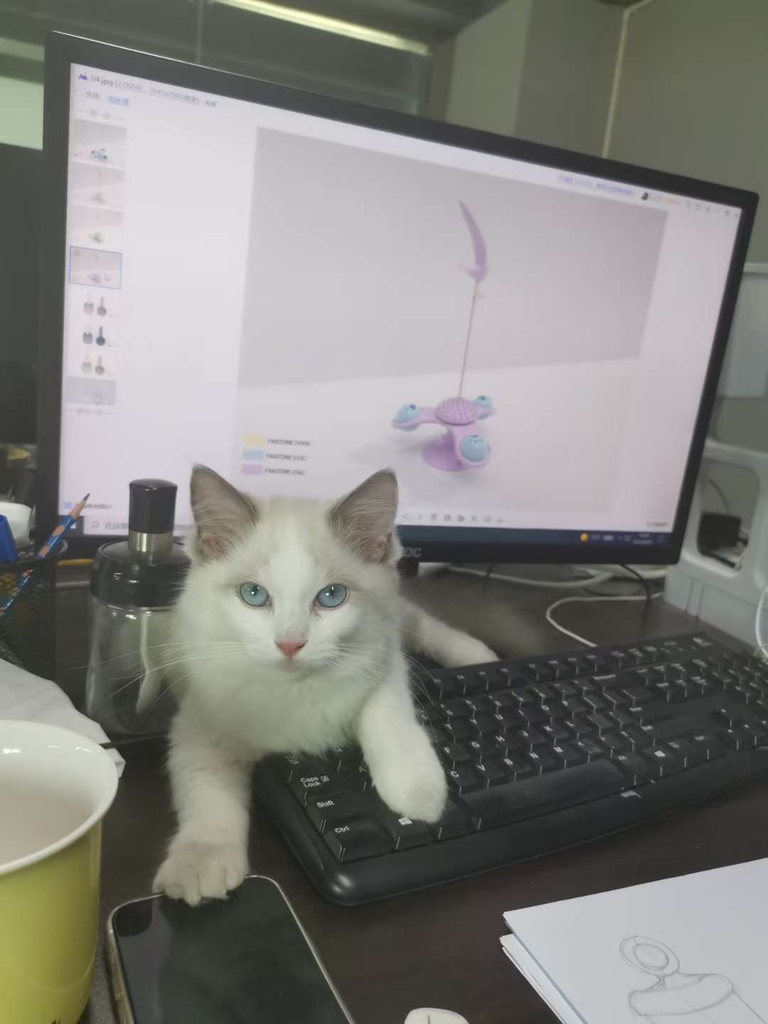 宠物用品！新款转转逗猫逗狗玩具，魅力无限！四个颜色，详情7