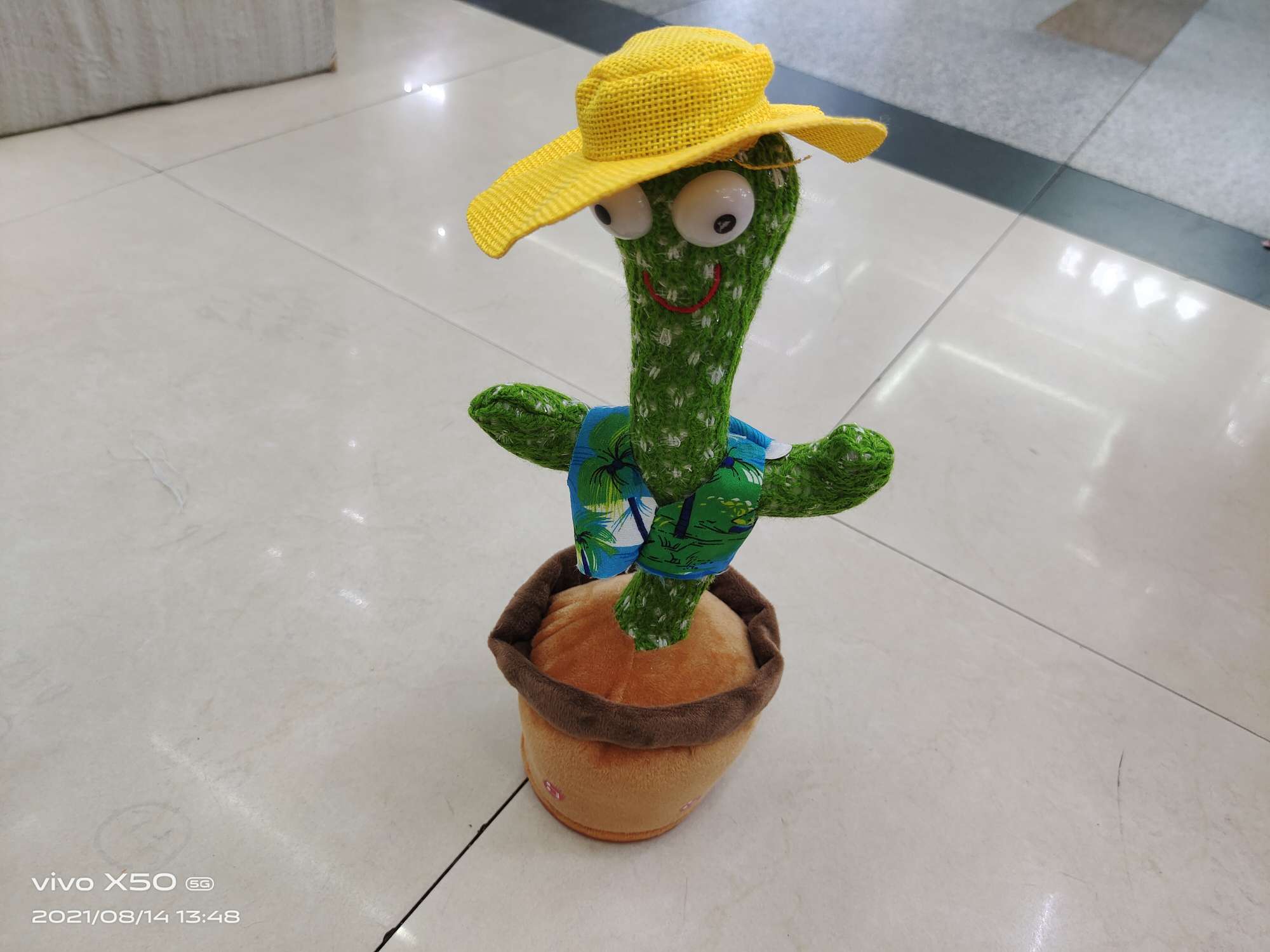 Cactus Electric Pot Can Record Prank Toys details Picture