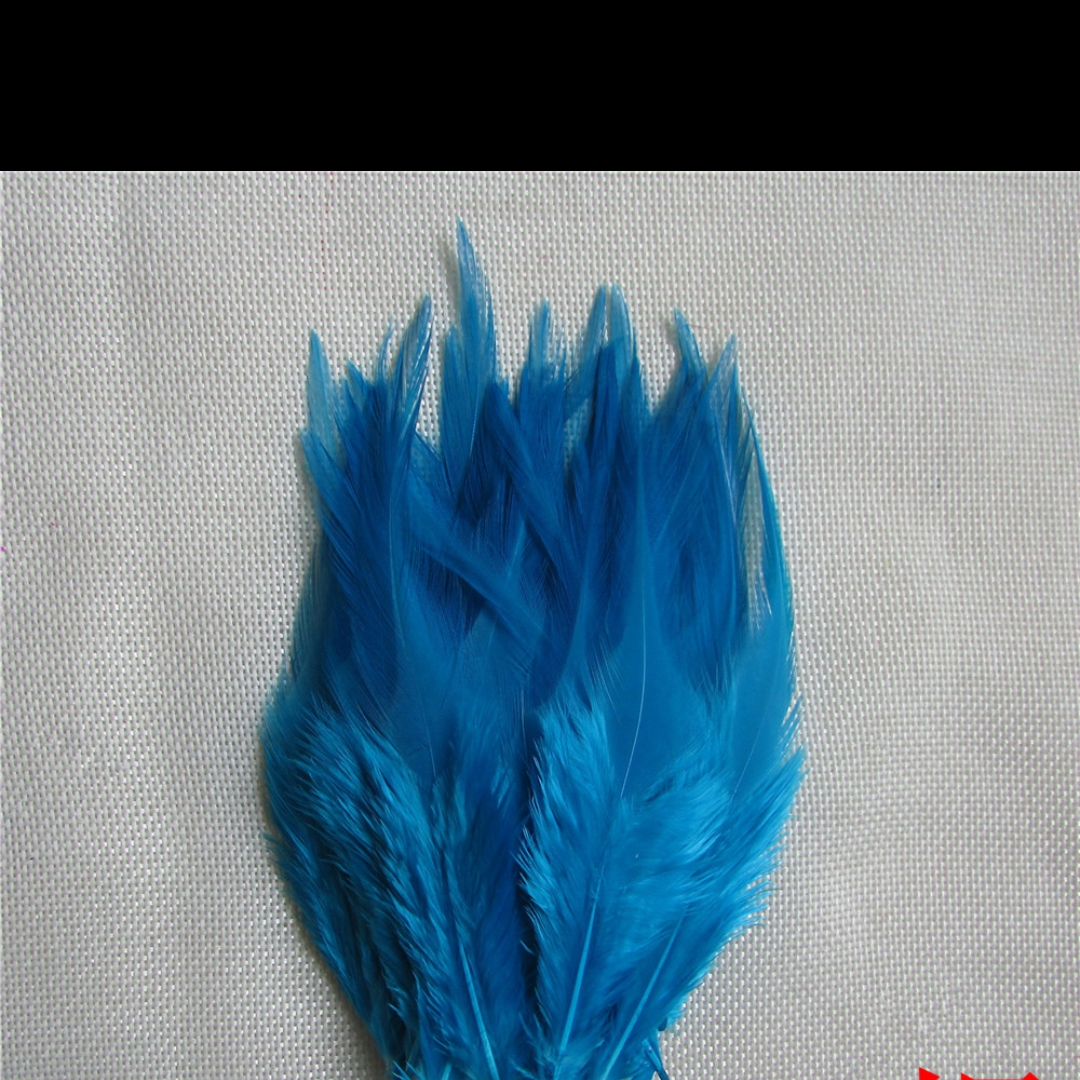 鸡毛白尖4-6英寸湖蓝色