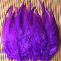 鸡毛白尖4-6英寸红紫色