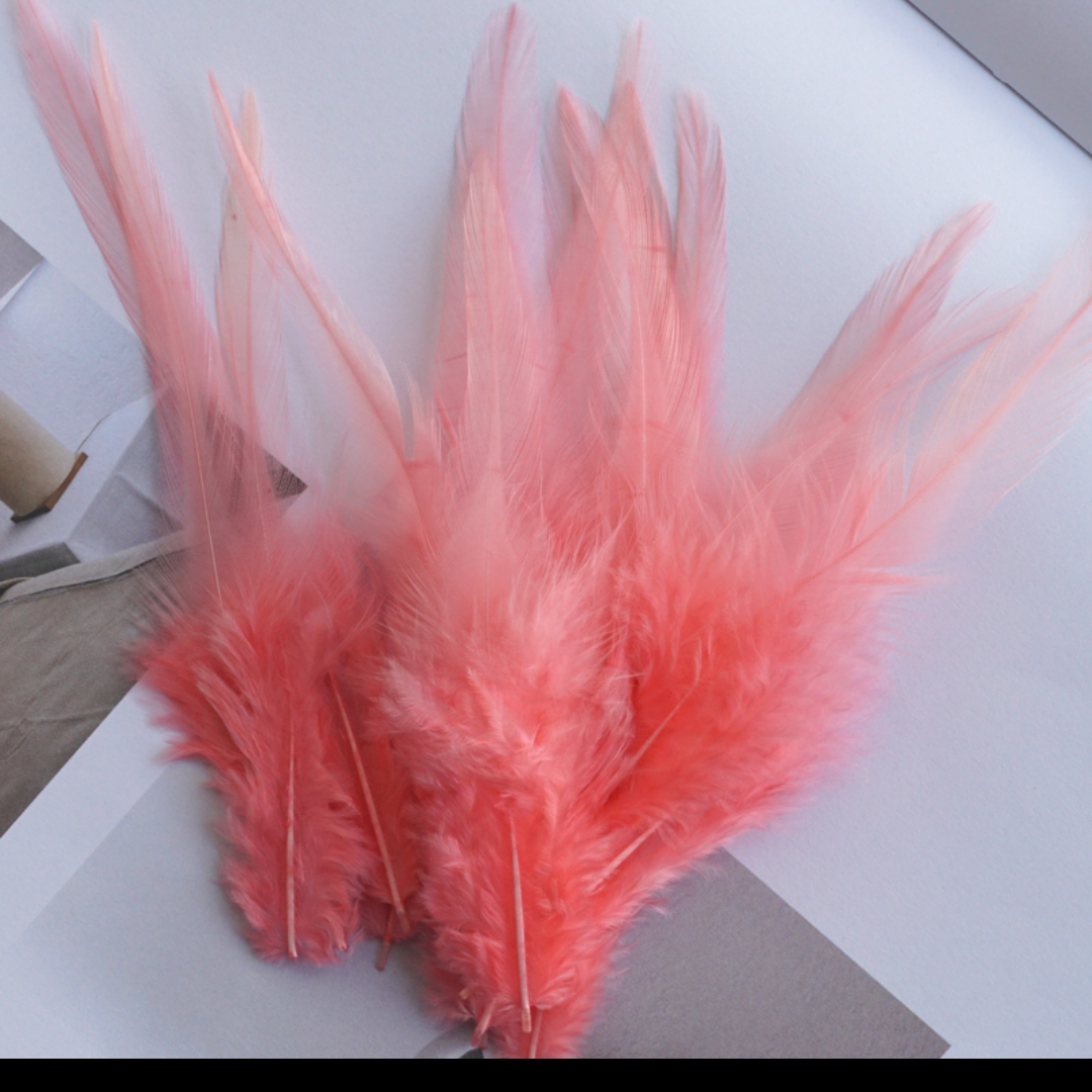 鸡毛白尖5-6英寸西瓜粉