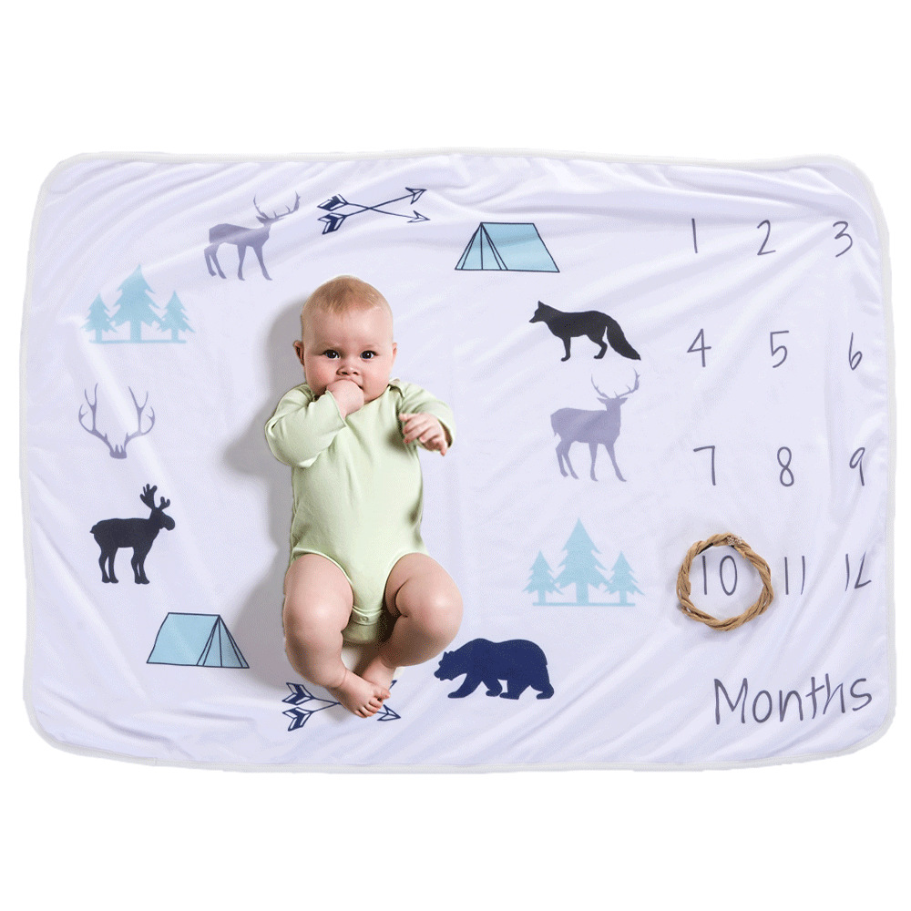 Calendar blanket Flannel month photo blanket Baby Commemorative blanket Milestone blanket Newborn photography blanket 70*102, 75*102cm detail image 9