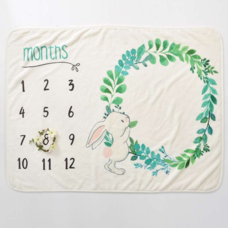Calendar blanket Flannel month photo blanket Baby Commemorative blanket Milestone blanket Newborn photography blanket 70*102, 75*102cm Specification image