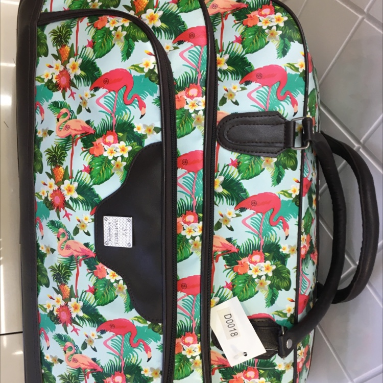 防水时尚旅行包图