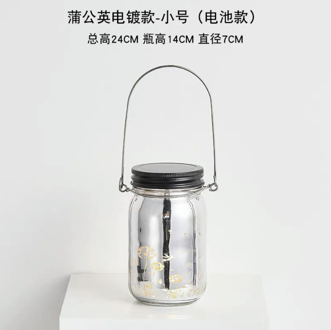 星星瓶夜光许愿瓶520塑料管星空瓶漂流瓶荧光折纸玻璃瓶生日礼物蒲公英电镀