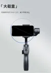 Handheld stabilizer 2S Application Scenario