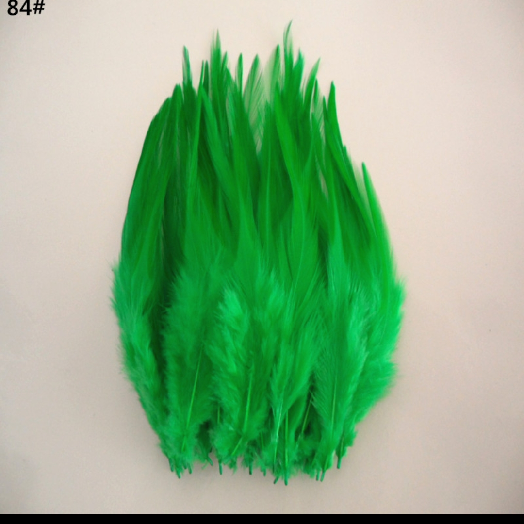 Chicken feathers white tips 5-6 inches green