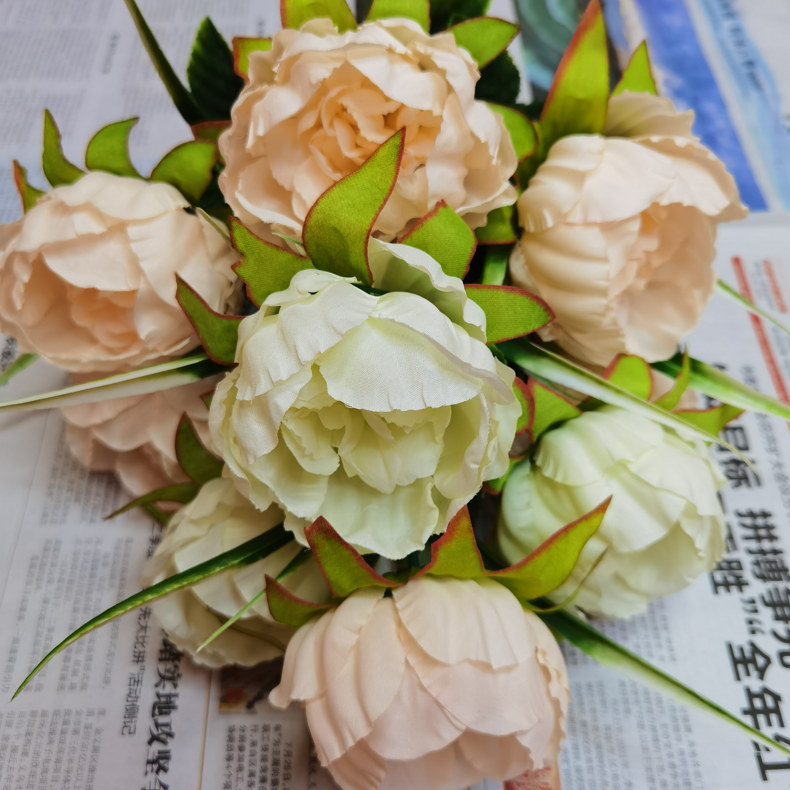 九头白玉牡丹单色白香槟