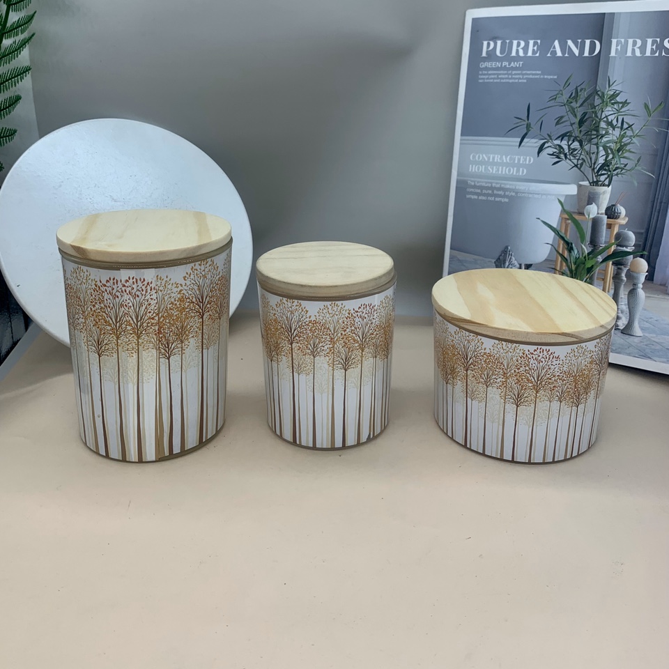 新款简约玻璃储存罐