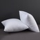 厂家直销枕头pillow cushion.来样定制询价.100%工厂直销图