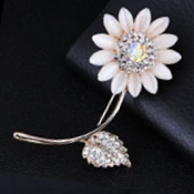 Brooch 610