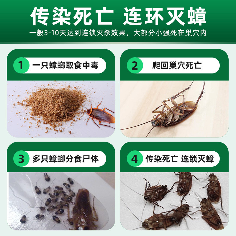 杀蟑饵3详情图4