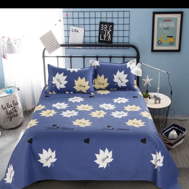 全棉四季布床单厂家直销批发新款图