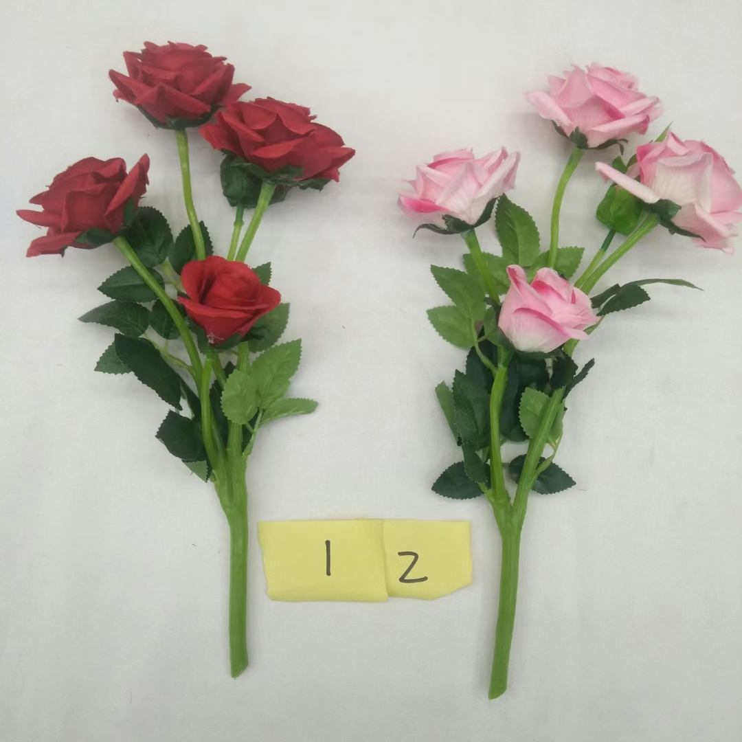African rose