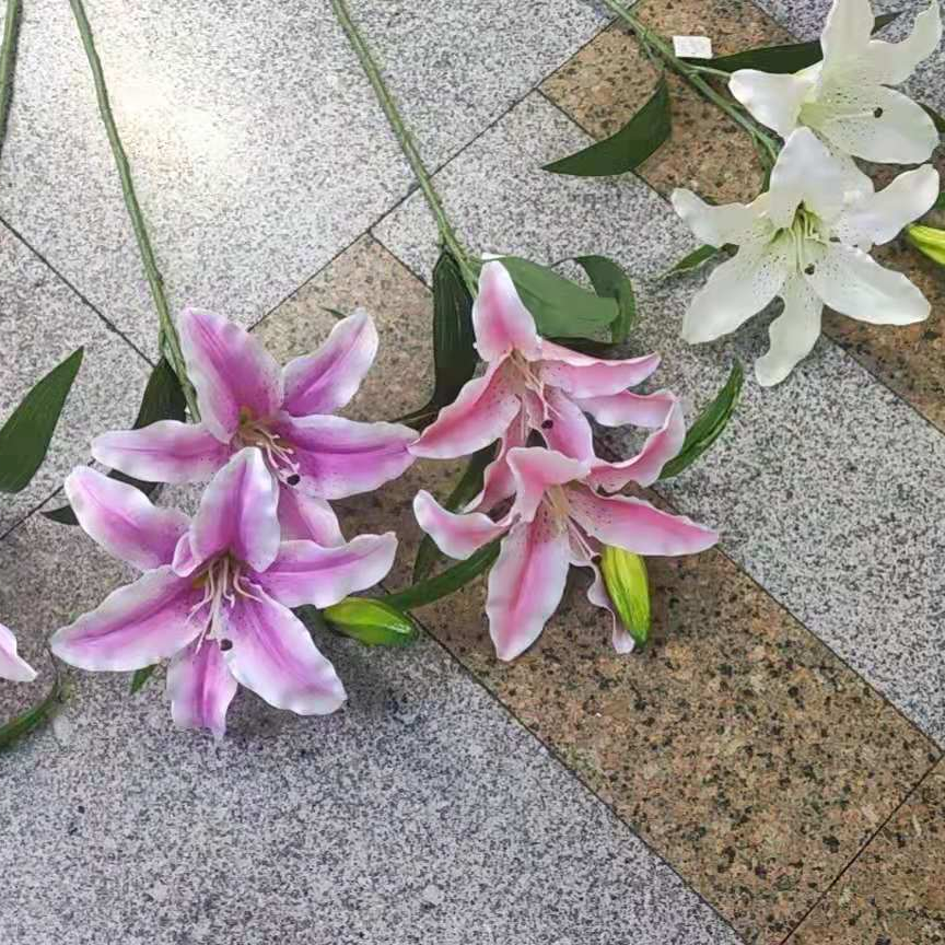 lily