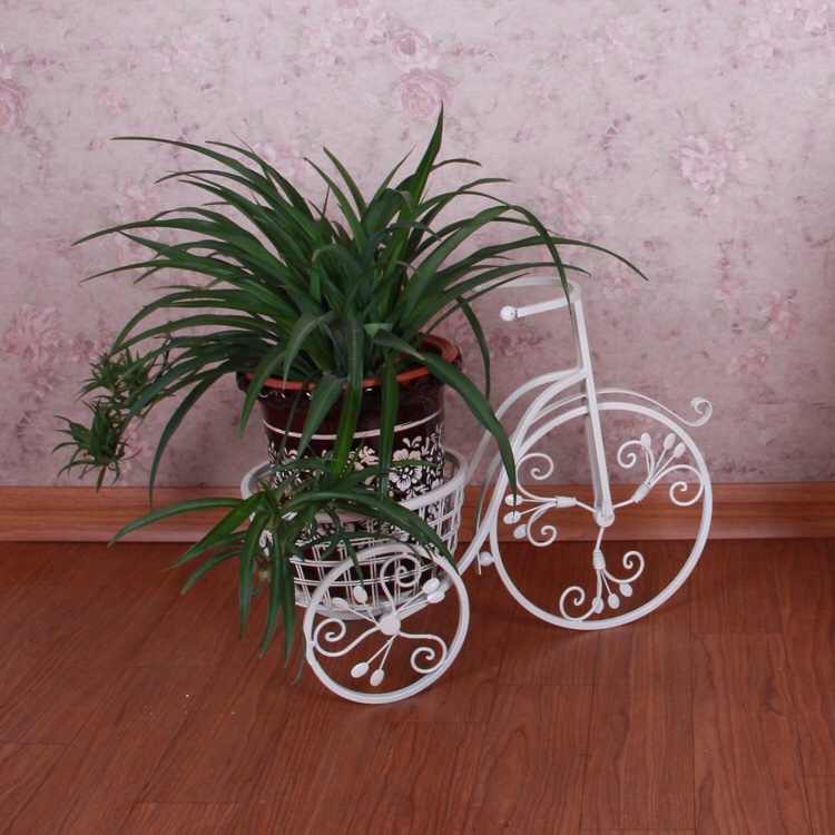 自行车花架