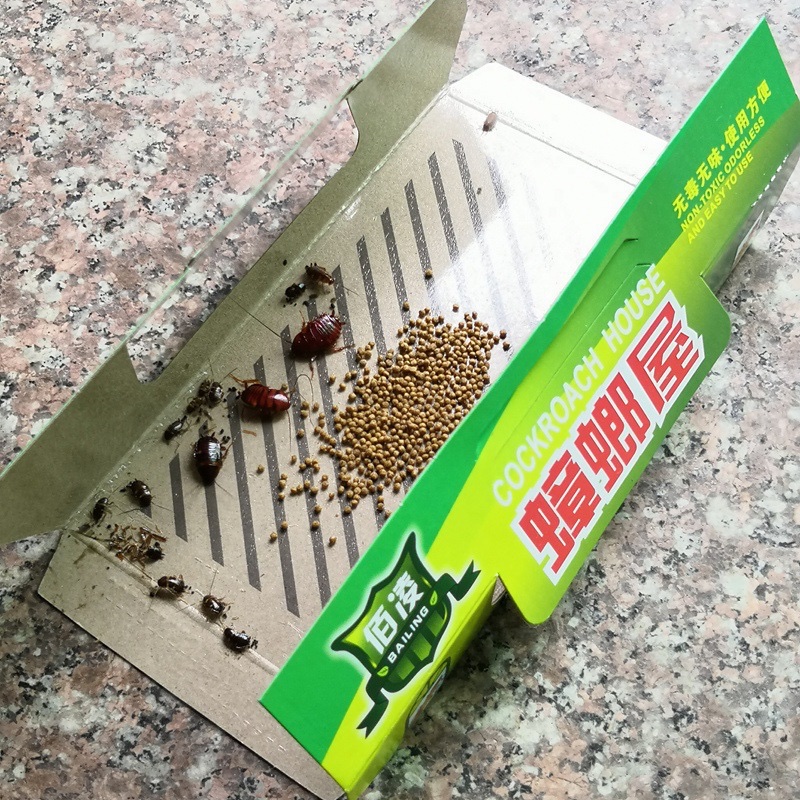 Cockroach House 1 Application Scenario