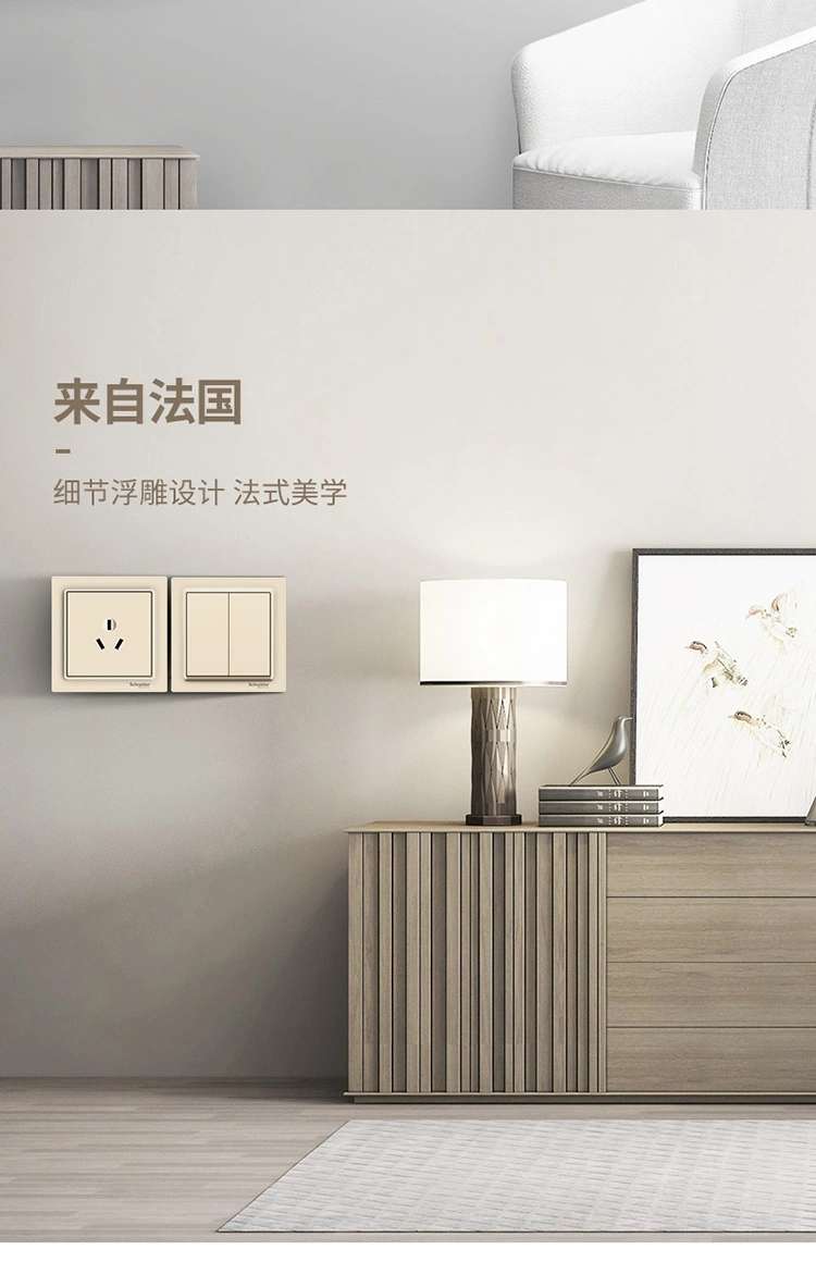 86型施耐德开关插座璟意白色面板带USB五孔详情图4