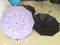 雨伞白底实物图