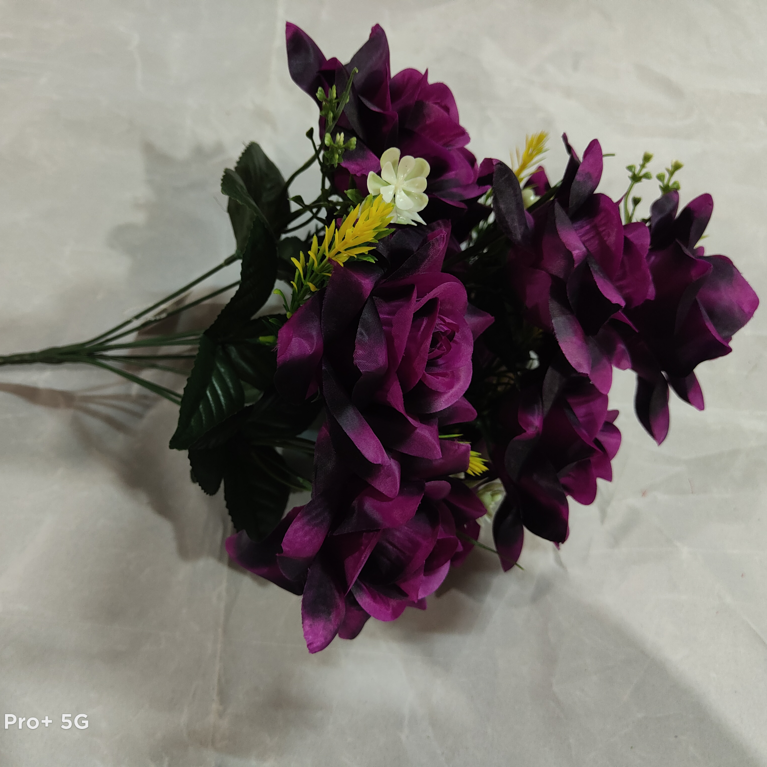 Ten heads and four jiao rose