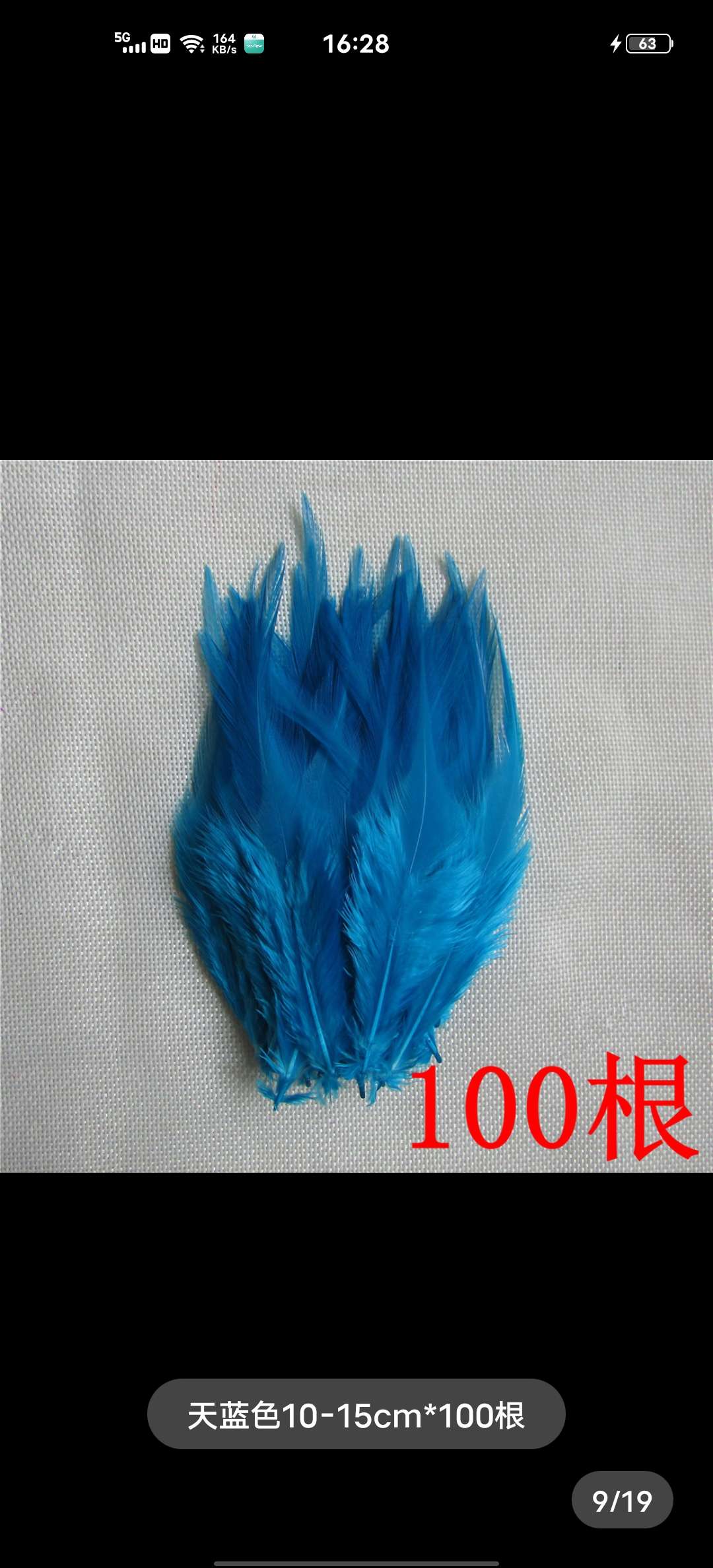 鸡毛白尖3-4英寸处理色白底实物图