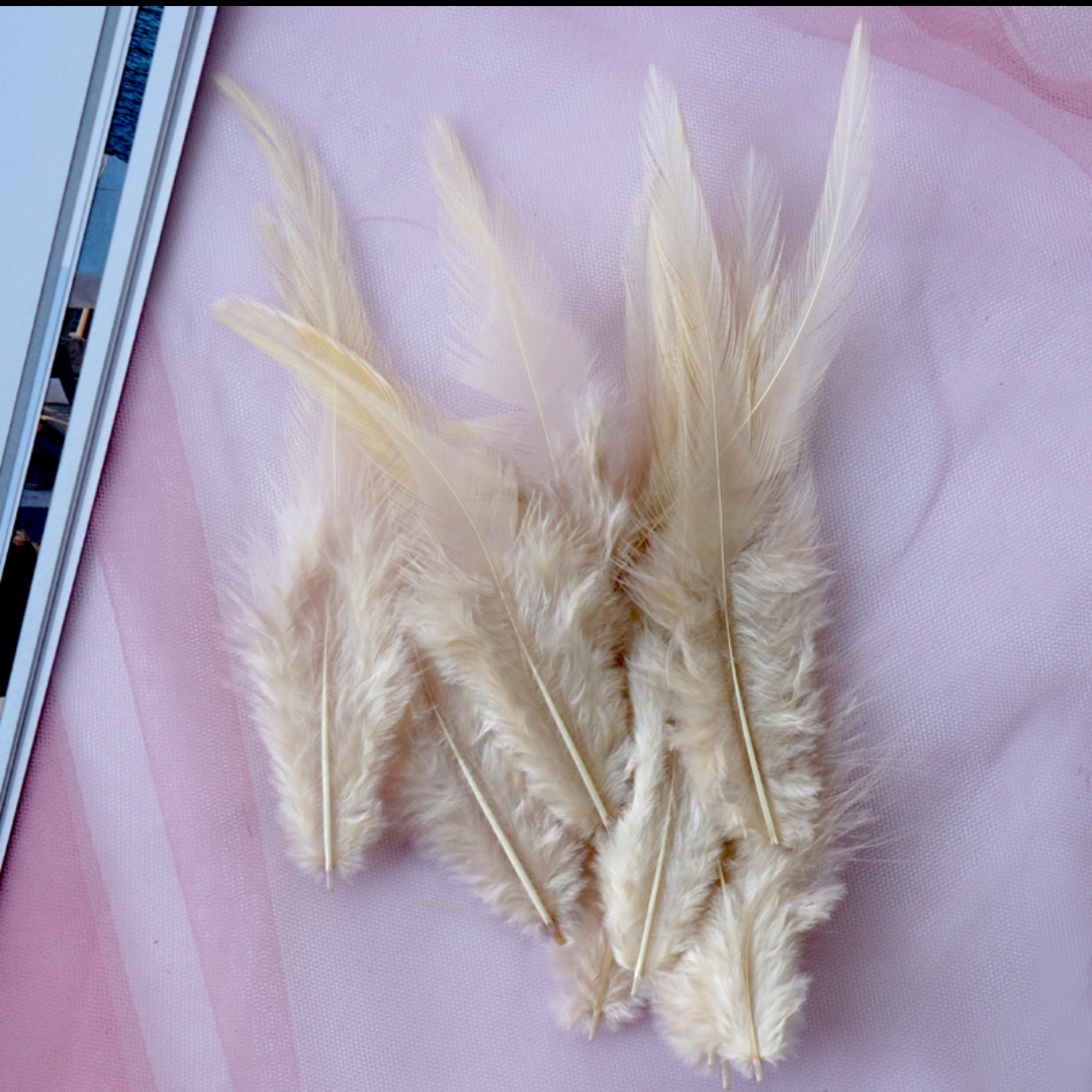 鸡毛白尖2-4英寸卡其色