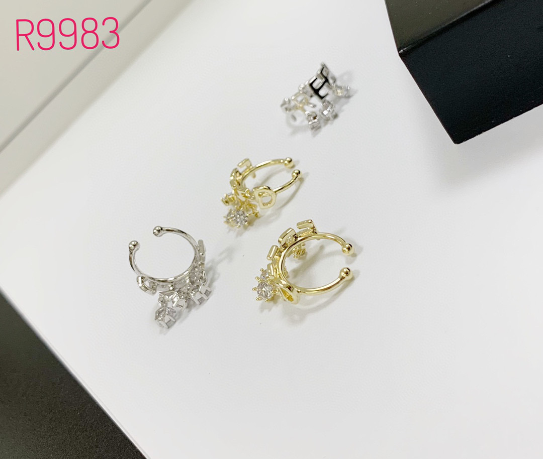 Fashionable ear buckles Application Scenario
