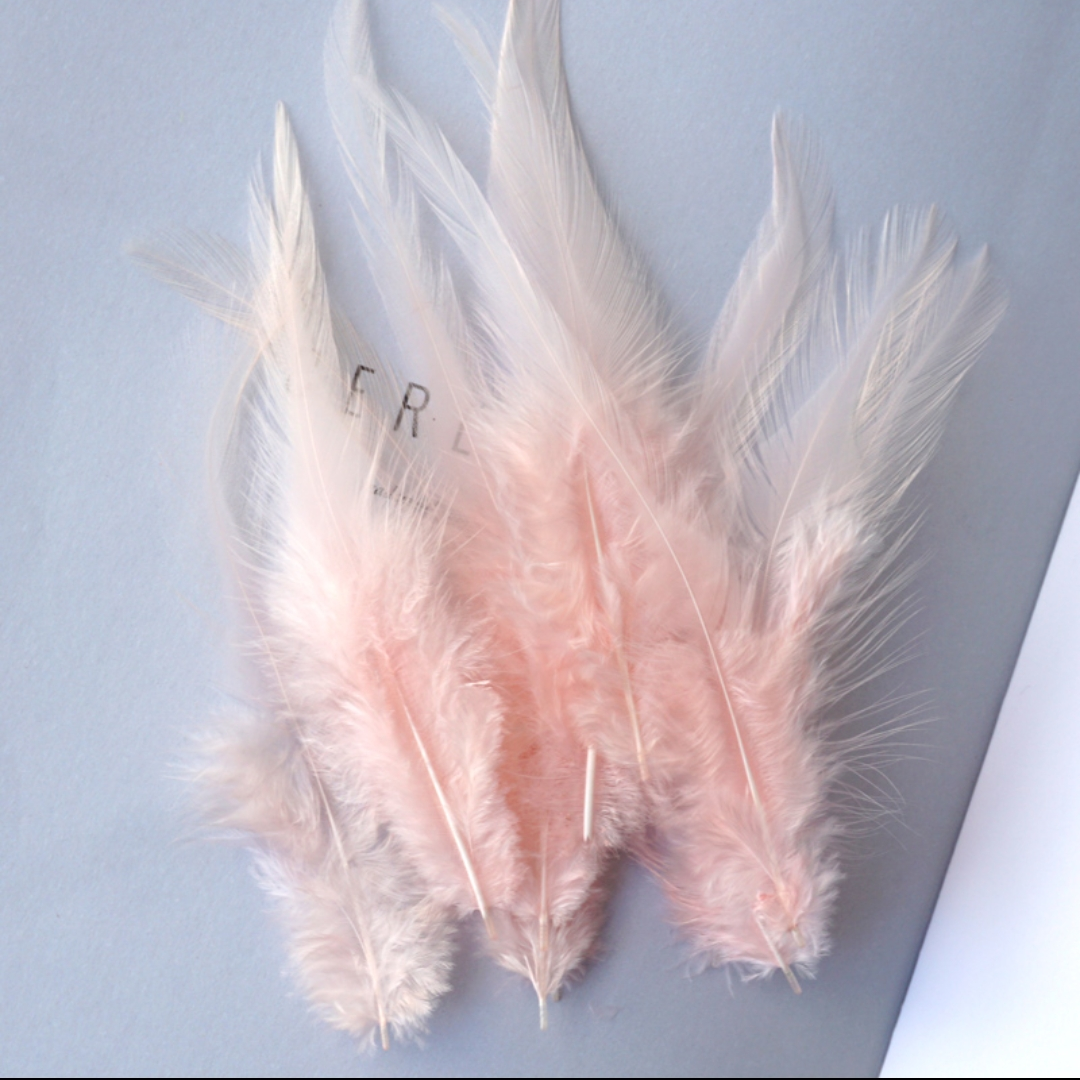 鸡毛白尖3-4英寸肉粉色