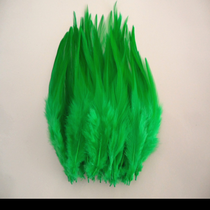Chicken feathers white tips 6-8 "green
