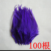 鸡毛白尖3-4英寸深紫色