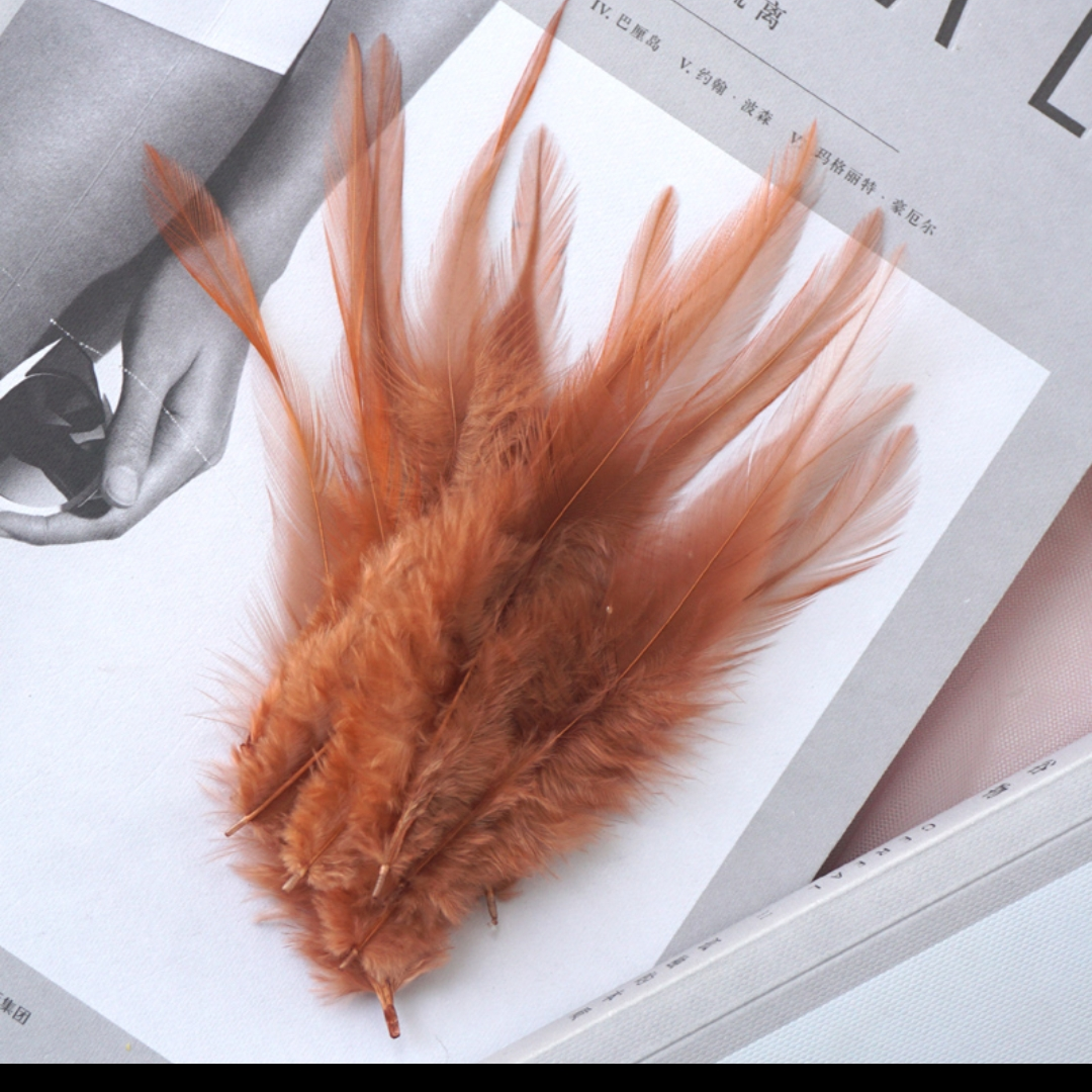 鸡毛白尖2-4英寸红咖