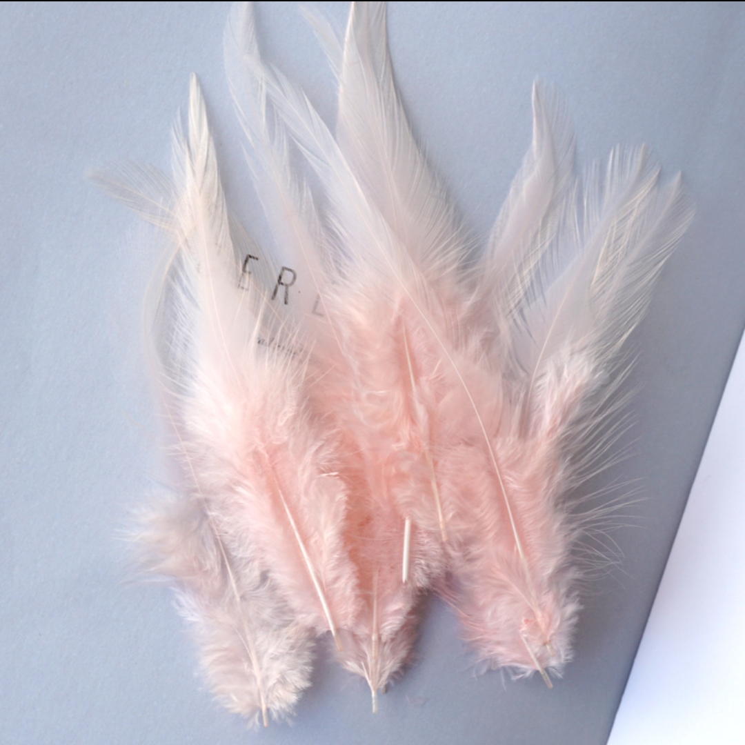 鸡毛白尖6-8英寸肉粉色