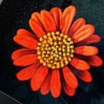 Brooch 1066