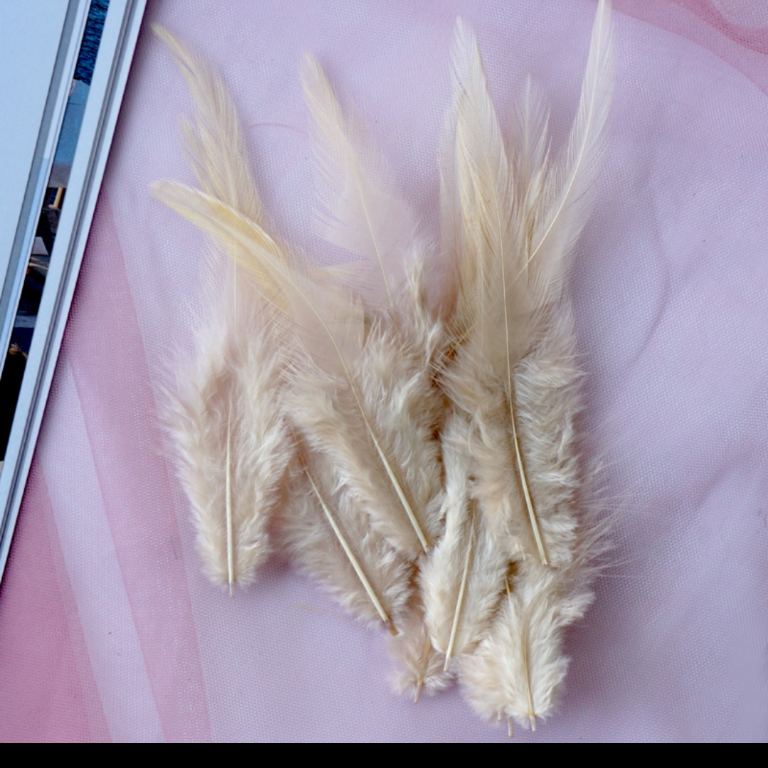 鸡毛白尖5-7英寸卡其色