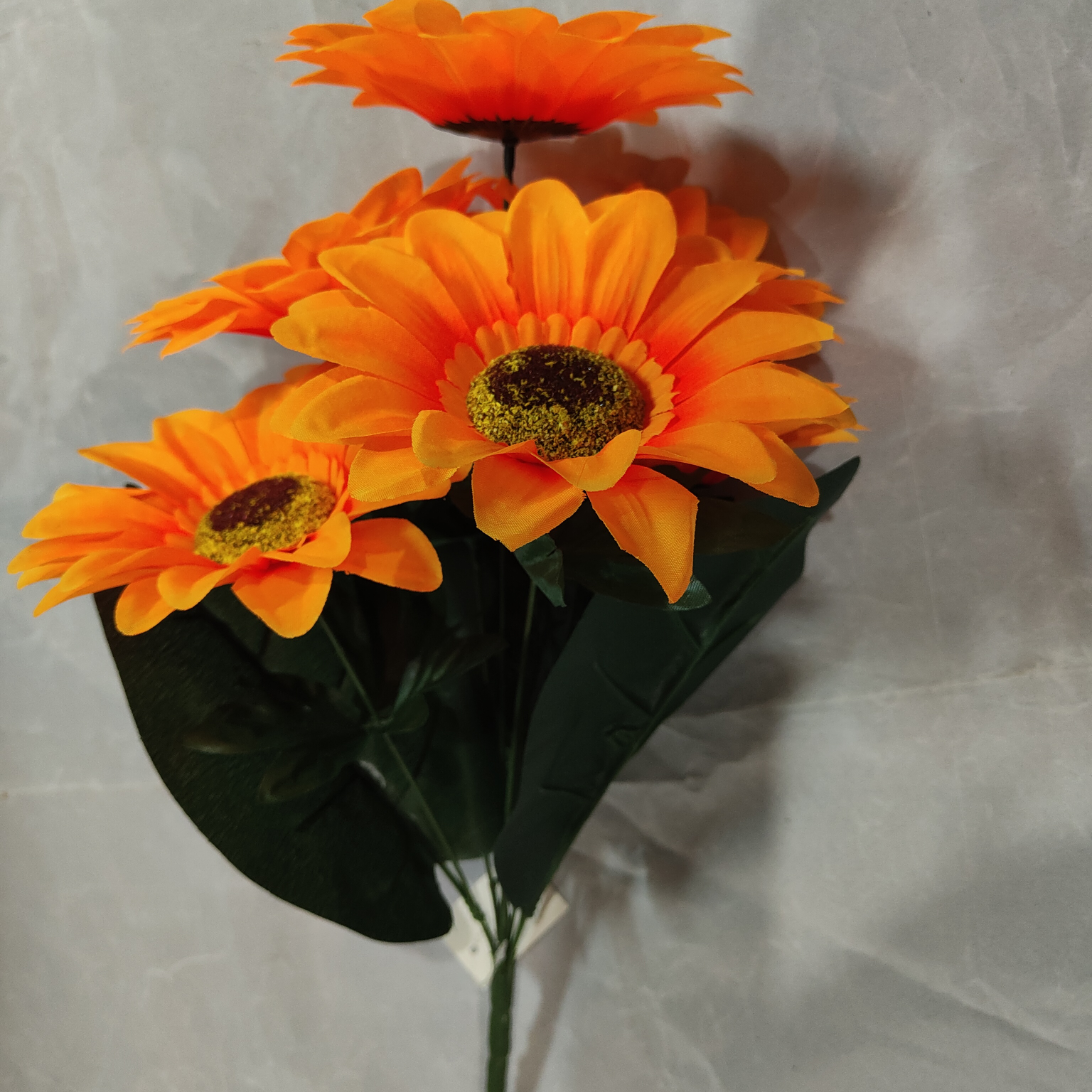 Three-leaf sunflower