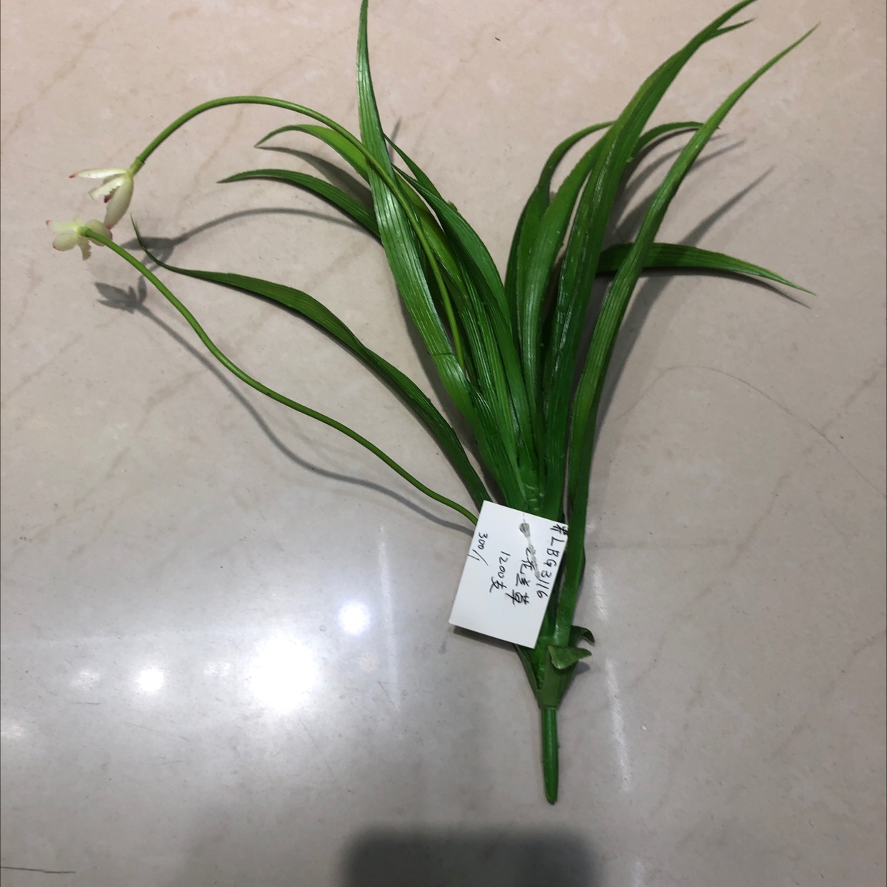 LCB اثنين من أوراق السحلية واحدة Item Picture