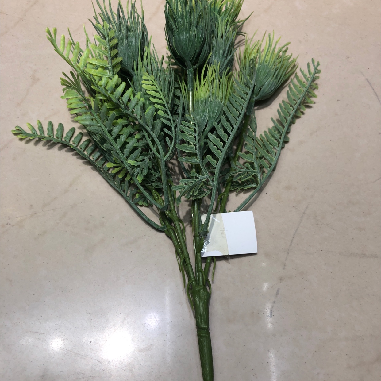 LBA一E绿色水草百合