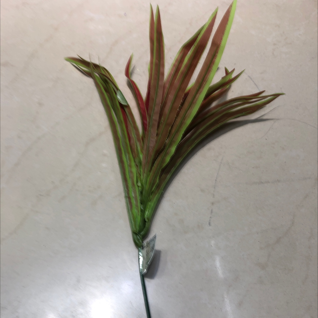 الـ "بي 0 أي" أخضر كامل من أوراق الأوركيد Item Picture