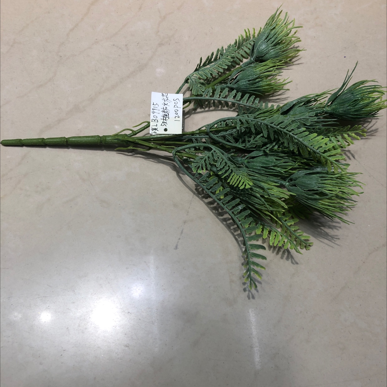 LBA I Ee زنبق العشب الأخضر Item Picture