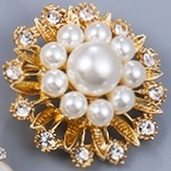 Brooch 1204