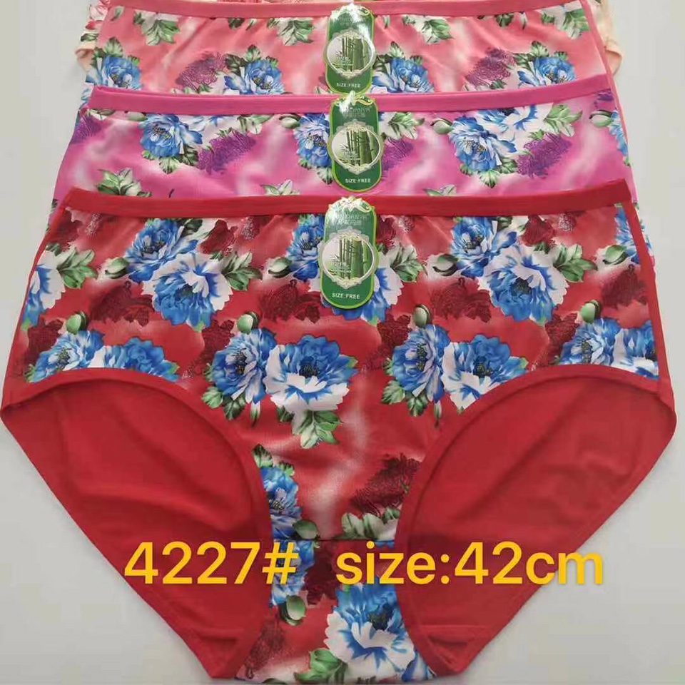 女士内裤4227