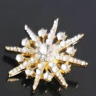 Brooch 1121