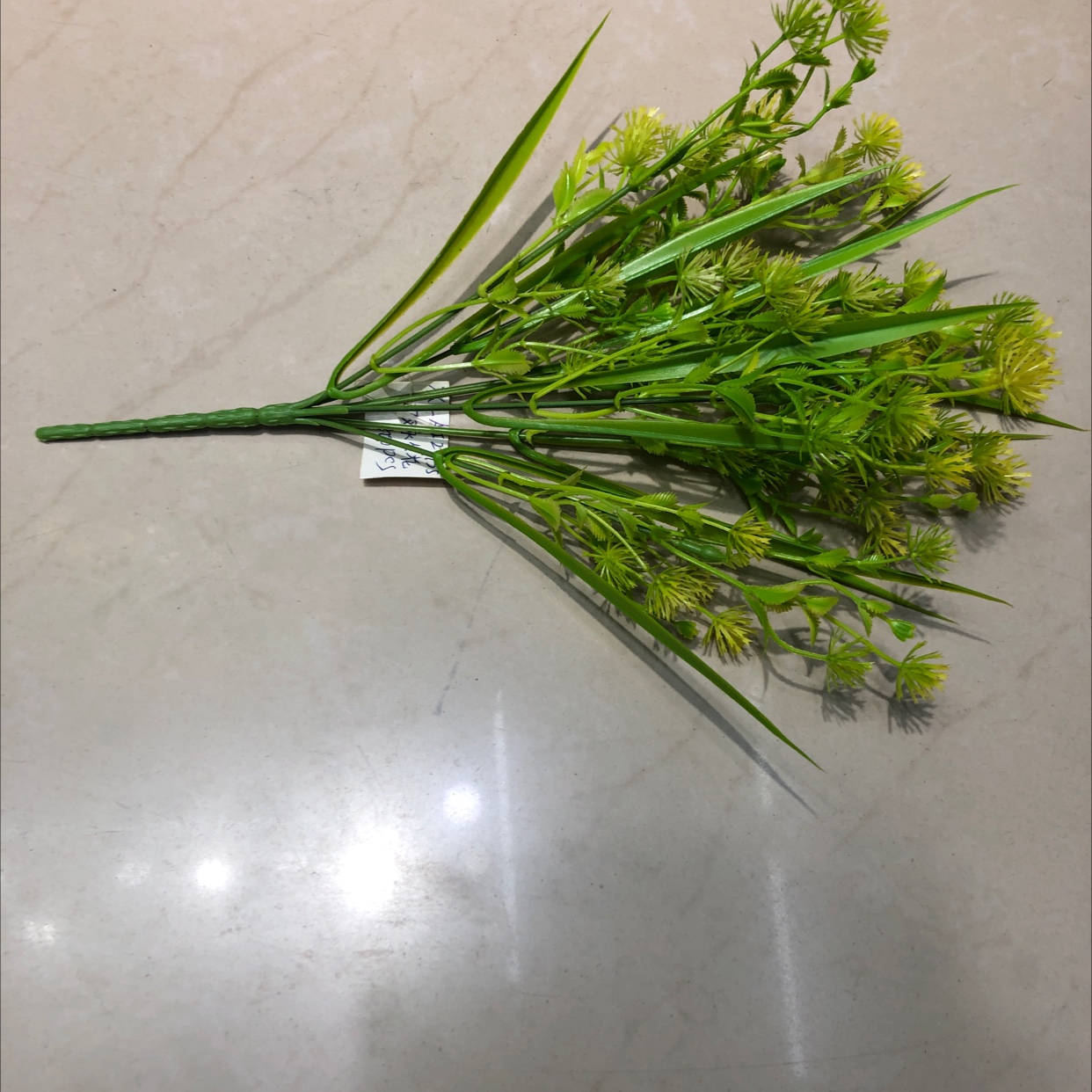 LAI一G浅黄色永生花白底实物图