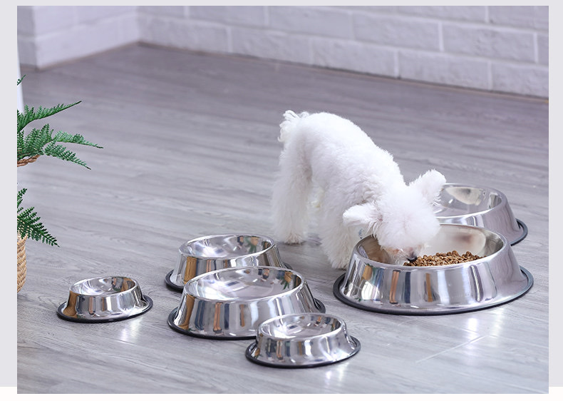 Stainless steel dog bowls, anti-tipping water bowls, large dog water basins, large dog food basins, pet supplies 4 Application Scenario